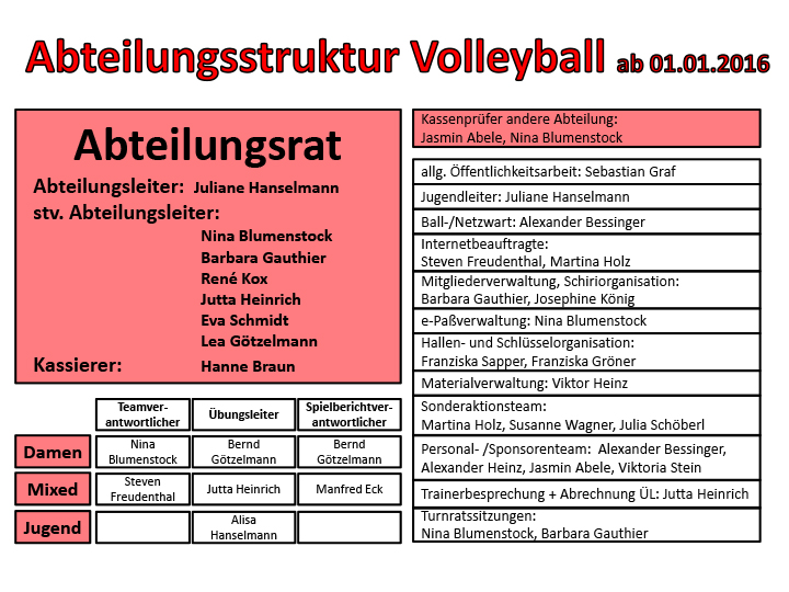 Abteilungsstruktur Volley